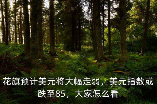 花旗預(yù)計美元將大幅走弱，美元指數(shù)或跌至85，大家怎么看