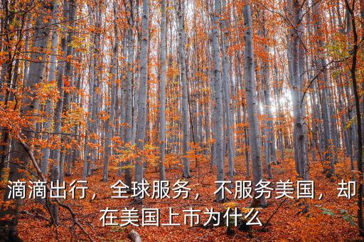 滴滴出行，全球服務(wù)，不服務(wù)美國(guó)，卻在美國(guó)上市為什么