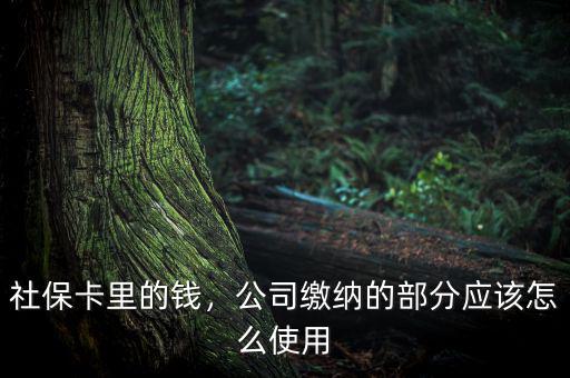 公司交的社保怎么用,社?？ɡ锏腻X