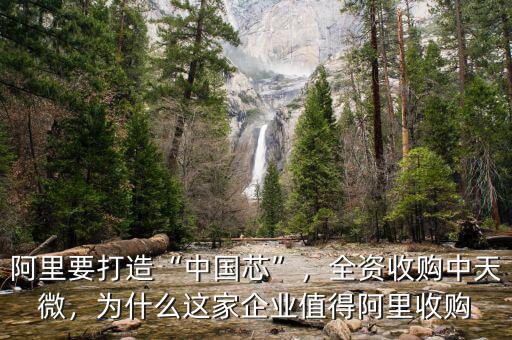 阿里要打造“中國芯”，全資收購中天微，為什么這家企業(yè)值得阿里收購