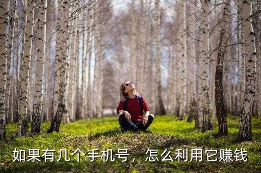如果有幾個手機號，怎么利用它賺錢