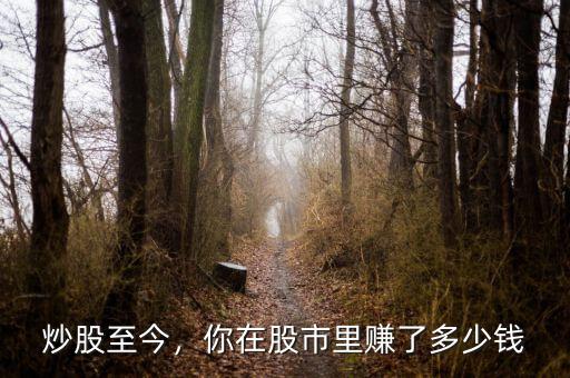 炒股至今，你在股市里賺了多少錢