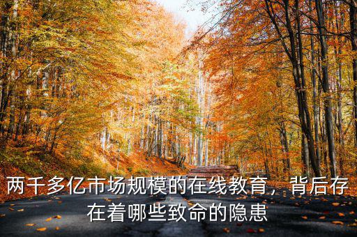 兩千多億市場(chǎng)規(guī)模的在線教育，背后存在著哪些致命的隱患