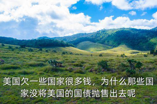 美國欠一些國家很多錢，為什么那些國家沒將美國的國債拋售出去呢