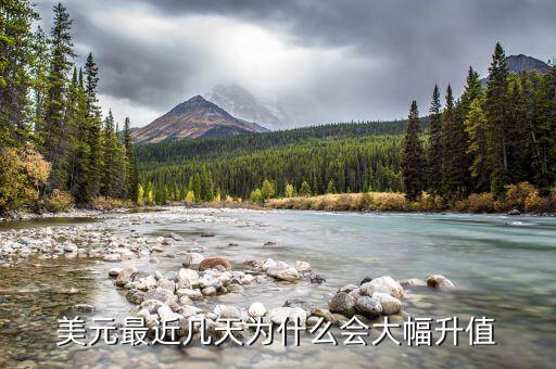 歐元對美元為什么會漲,歐元為什么突然暴漲