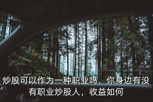 炒股可以作為一種職業(yè)嗎，你身邊有沒有職業(yè)炒股人，收益如何