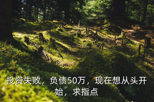 投資失敗，負債50萬，現(xiàn)在想從頭開始，求指點