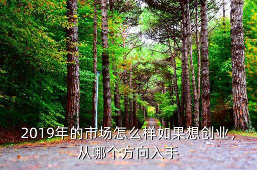 2019年的市場怎么樣如果想創(chuàng)業(yè)，從哪個方向入手
