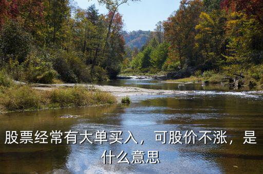 股票經(jīng)常有大單買入，可股價不漲，是什么意思