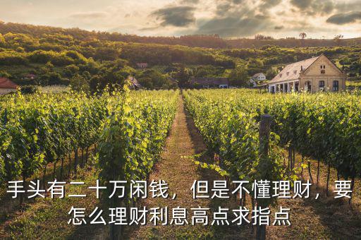 手頭有二十萬(wàn)閑錢(qián)，但是不懂理財(cái)，要怎么理財(cái)利息高點(diǎn)求指點(diǎn)