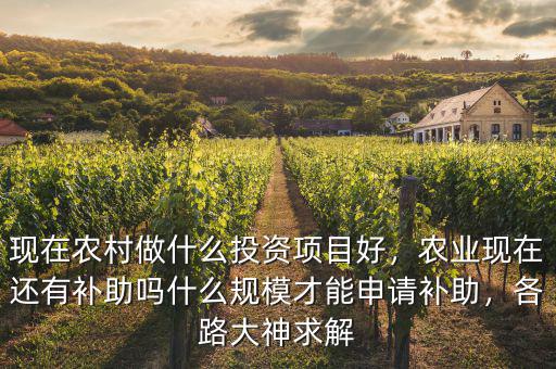 現(xiàn)在農(nóng)村做什么投資項(xiàng)目好，農(nóng)業(yè)現(xiàn)在還有補(bǔ)助嗎什么規(guī)模才能申請補(bǔ)助，各路大神求解