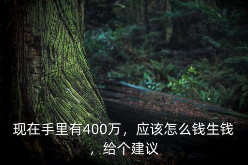 現(xiàn)在手里有400萬(wàn)，應(yīng)該怎么錢(qián)生錢(qián)，給個(gè)建議