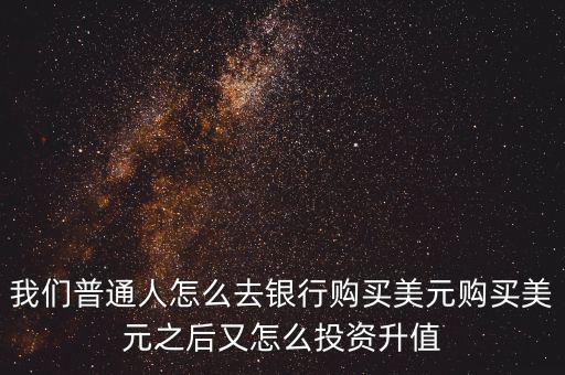 我們普通人怎么去銀行購(gòu)買美元購(gòu)買美元之后又怎么投資升值