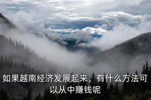 如果越南經(jīng)濟(jì)發(fā)展起來，有什么方法可以從中賺錢呢