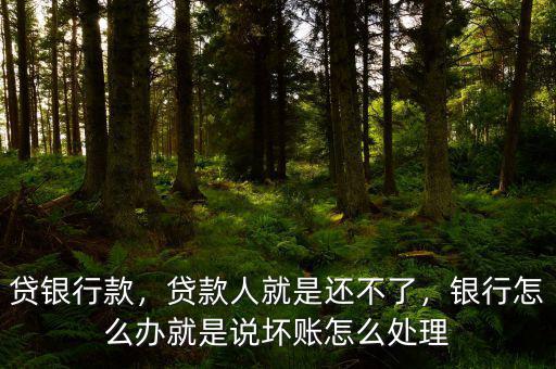 貸銀行款，貸款人就是還不了，銀行怎么辦就是說壞賬怎么處理