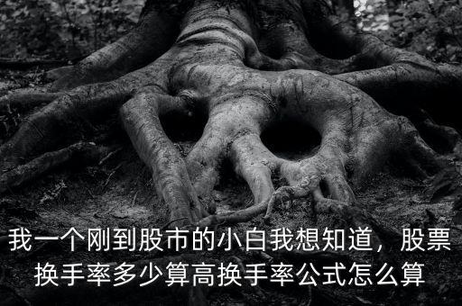 我一個剛到股市的小白我想知道，股票換手率多少算高換手率公式怎么算