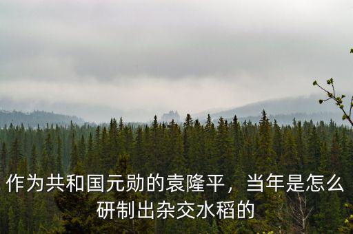 作為共和國元勛的袁隆平，當(dāng)年是怎么研制出雜交水稻的