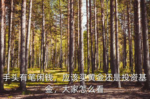 手頭有筆閑錢，應該買黃金還是投資基金，大家怎么看