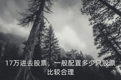 17萬(wàn)進(jìn)去股票，一般配置多少只股票比較合理