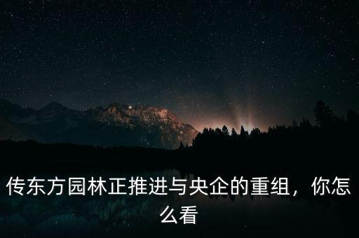 傳東方園林正推進與央企的重組，你怎么看