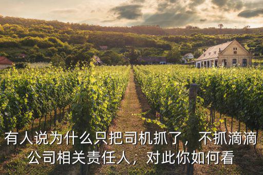 有人說為什么只把司機(jī)抓了，不抓滴滴公司相關(guān)責(zé)任人，對此你如何看