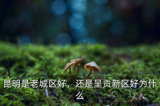 昆明是老城區(qū)好，還是呈貢新區(qū)好為什么