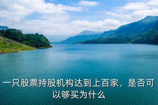 一只股票持股機(jī)構(gòu)達(dá)到上百家，是否可以夠買為什么