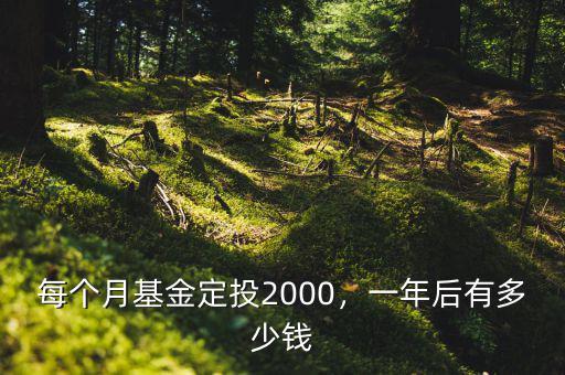 每個月基金定投2000，一年后有多少錢