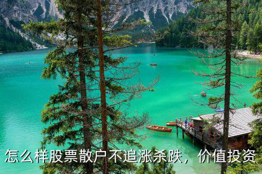 怎么樣股票散戶(hù)不追漲殺跌，價(jià)值投資