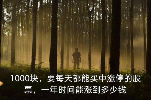 1000塊，要每天都能買中漲停的股票，一年時間能漲到多少錢