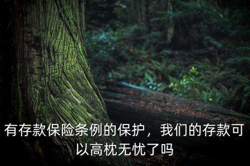 有存款保險(xiǎn)條例的保護(hù)，我們的存款可以高枕無(wú)憂了嗎