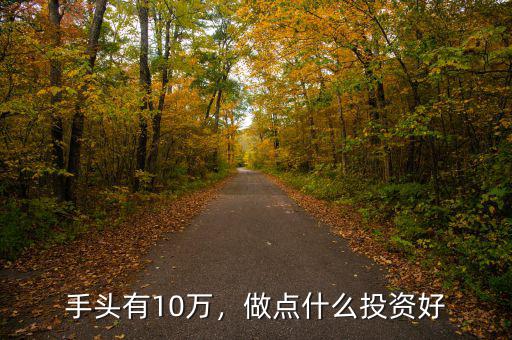 手頭有10萬，做點什么投資好
