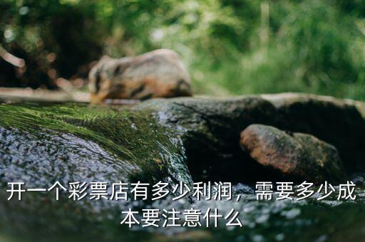 彩票利潤(rùn)多少,開一個(gè)彩票店有多少利潤(rùn)