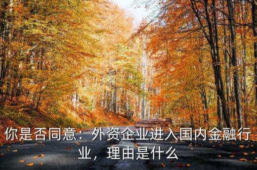你是否同意：外資企業(yè)進入國內(nèi)金融行業(yè)，理由是什么