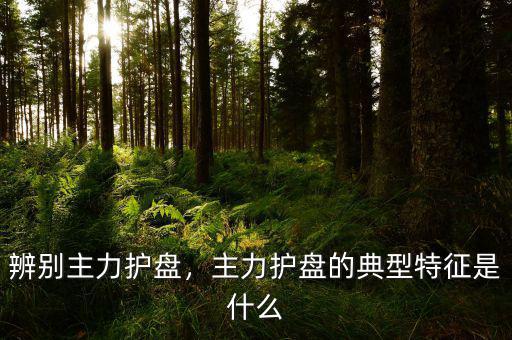 辨別主力護盤，主力護盤的典型特征是什么