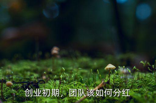 創(chuàng)業(yè)初期，團隊該如何分紅