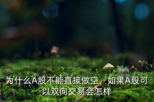 為什么A股不能直接做空，如果A股可以雙向交易會(huì)怎樣