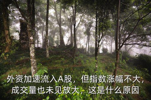 為什么指數(shù)不漲成交量大,A股市場(chǎng)為什么不漲