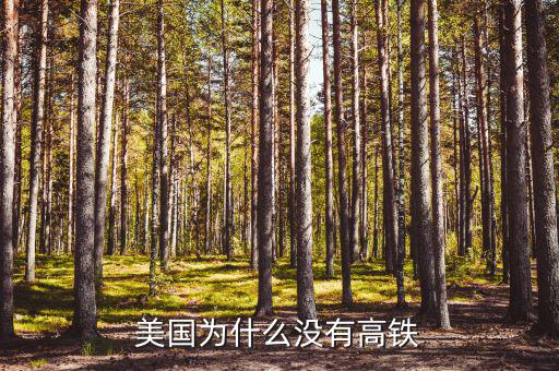 美國(guó)為什么高鐵,美國(guó)為什么沒(méi)有高鐵