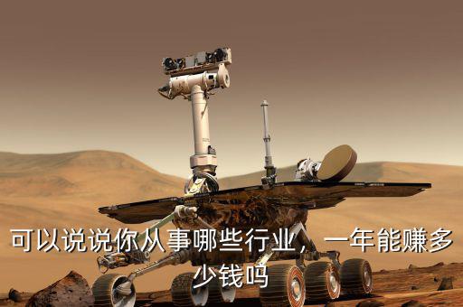 可以說說你從事哪些行業(yè)，一年能賺多少錢嗎