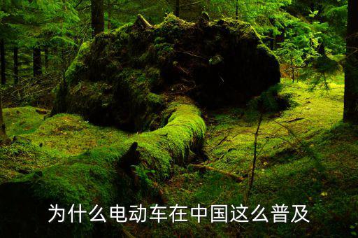 中國有多少輛電動車,為什么電動車在中國這么普及