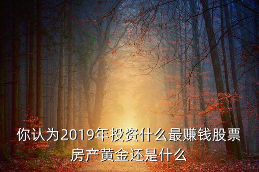 你認(rèn)為2019年投資什么最賺錢(qián)股票房產(chǎn)黃金還是什么