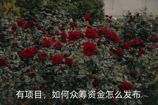 有項(xiàng)目，如何眾籌資金怎么發(fā)布