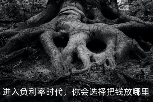 進入負利率時代，你會選擇把錢放哪里