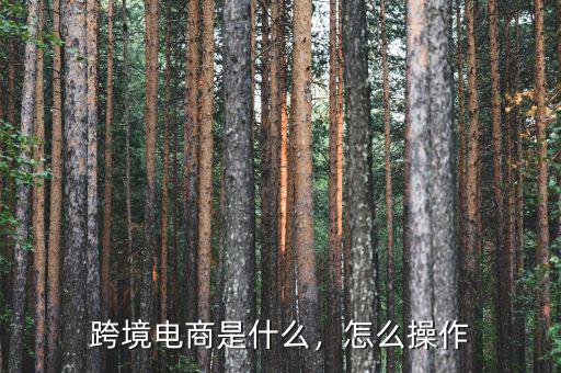 跨境電商是什么，怎么操作
