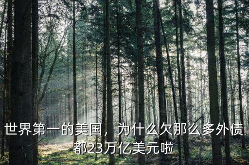 世界第一的美國，為什么欠那么多外債都23萬億美元啦