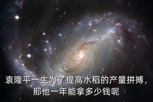 袁隆平一生為了提高水稻的產(chǎn)量拼搏，那他一年能拿多少錢(qián)呢