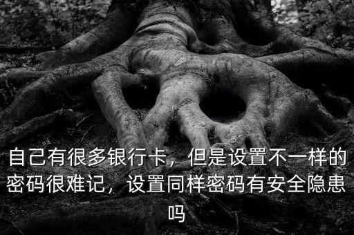 自己有很多銀行卡，但是設置不一樣的密碼很難記，設置同樣密碼有安全隱患嗎