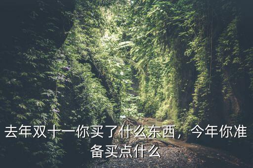 雙十一過(guò)后買(mǎi)什么股票,雙十一什么也不買(mǎi)