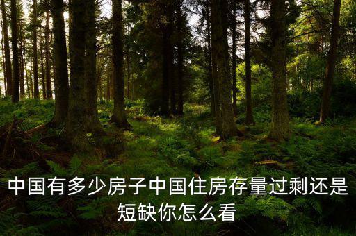 中國有多少房子中國住房存量過剩還是短缺你怎么看